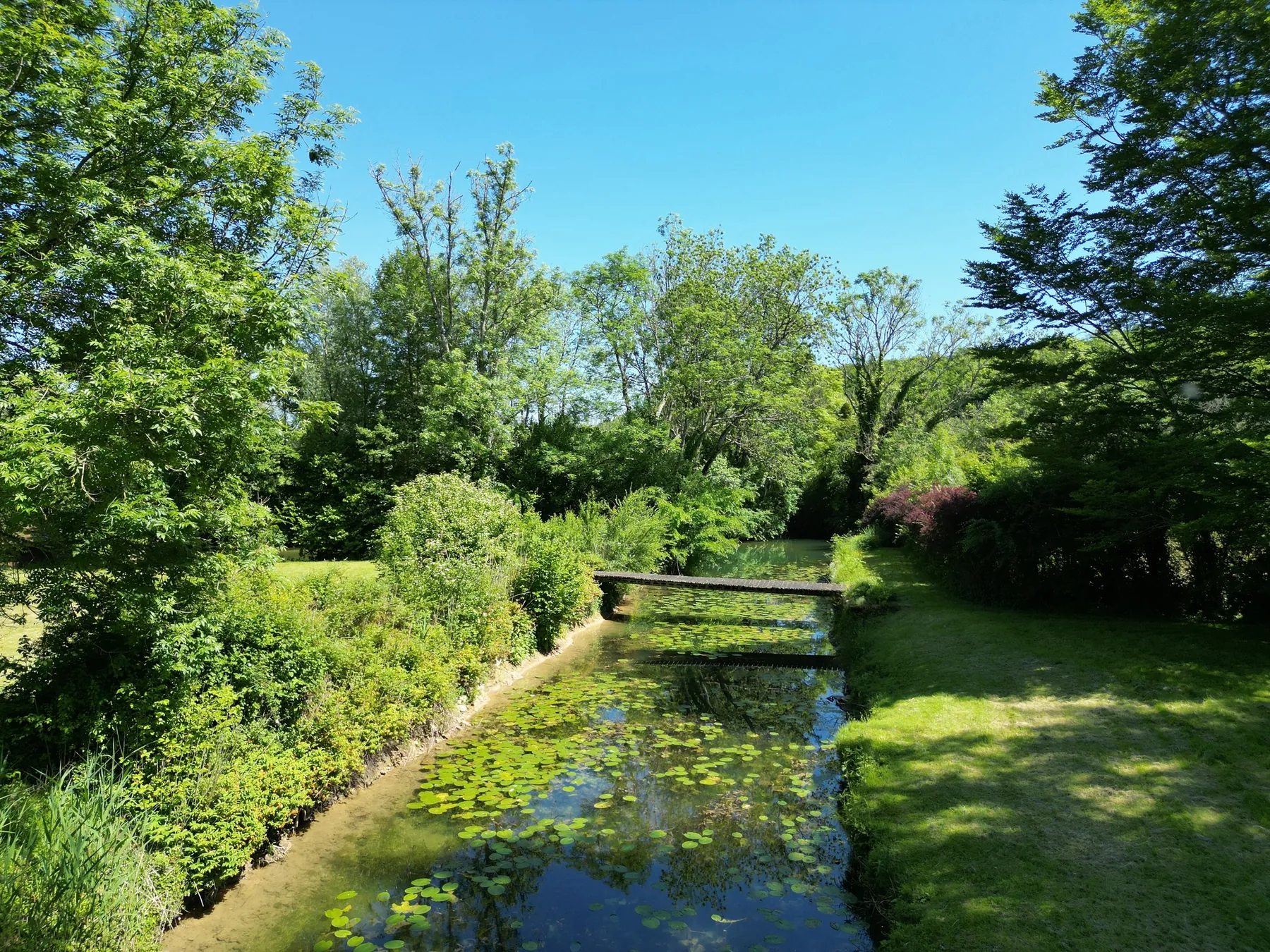 Jardin arboré et bras de rivière au Moulin d'Esporves
